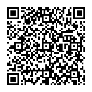 或者等着白兰派人来收拾残局然后灰溜溜的回去么――这两个选择哪个都不是她想要的选择二维码生成