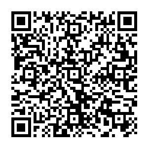 或者说他心里面压根就没有这种森严的等级观念――好吧最主要的是他还有点没反应过来二维码生成