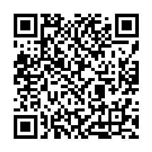 或者说他最想做的……已变成了解开这个剧本的谜团二维码生成
