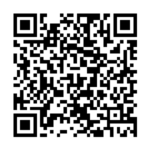 或者说墨家军重复了数年前西陵进攻大楚的时候的情景二维码生成