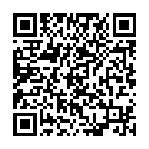 或者说对卫家所有下人的整条利益链都产生了巨大冲击二维码生成
