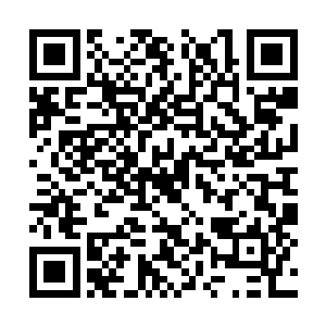 或者说就算是傻子吸收了也会成为天下最聪明的人二维码生成