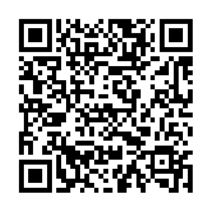 或者说所有碳基智慧生命基因深处的冷酷和残忍了二维码生成