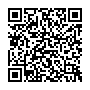 或者说是因为那些灵力被上古大阵的阵盘转化了二维码生成