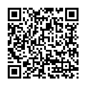 或者说是极有可能是她这具身体的亲生母亲的关系二维码生成