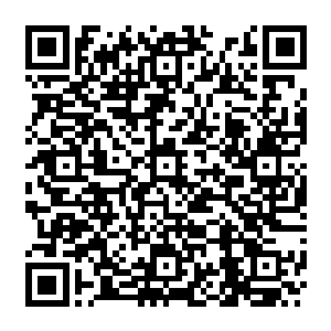 或者说是根本就不相信那个在地上抱着林烽大腿撒泼的竟然是他们仰望的doctor史密斯二维码生成