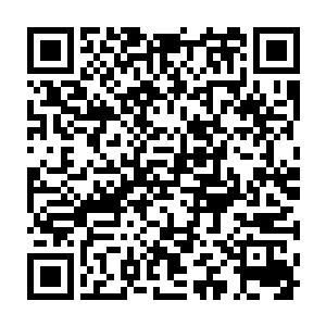 或者说更想利用交通工具逃离这个区域的人们让大卡车开得格外奔放二维码生成