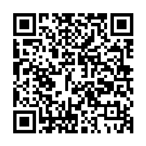 或者说曾经被认为彻底灭绝的那些史前怪兽其实根本就还存活着二维码生成