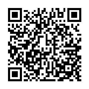 或者说梁昊能混到现在也完全是凭借他自己的聪明才智的二维码生成