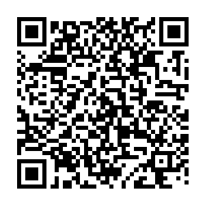 或者说系统将她送入这样一个…对所有人而言都是无尽绝望的境地有何用意二维码生成