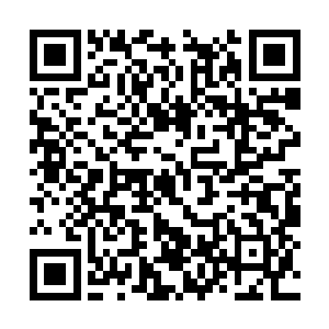 或者那些已经诞生了足够灵智的先天之物发出感应二维码生成