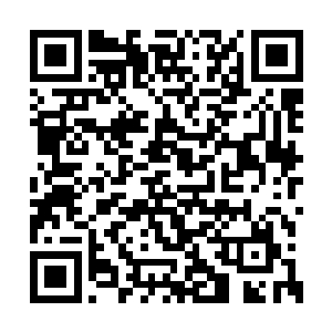 或许……他已经完全接受了灿灿结婚的现实了吧二维码生成