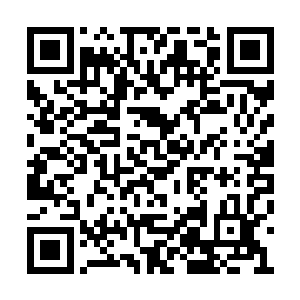 或许也就比眼前的这条青蚨毒龙稍微强一点罢了二维码生成