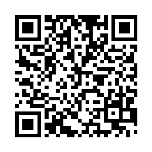 或许也能用近似于崇拜的心折来形容二维码生成