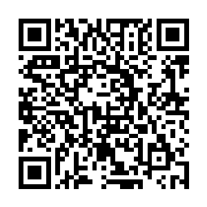 或许也能看出来两个人究竟能发挥出东皇钟多少的力量二维码生成