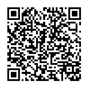 或许也跟自己那么用心的拉着另外两个大美女陪他这位大爷打了那么多天牌有关二维码生成