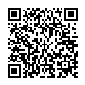 或许事情还没有糟糕到无法挽回的那一步……不能有任何的隐瞒二维码生成