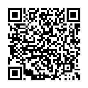 或许今日自己就会多出一个逆天至极的神王弟子二维码生成