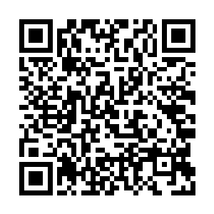 或许他们不在需要专门的开发工具来提供应用了二维码生成