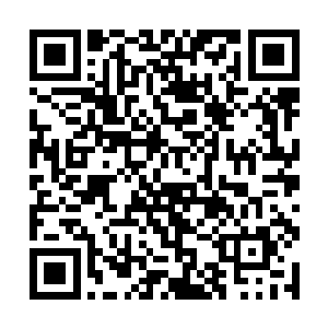 或许他们已经知道了上次阻止红男爵对艾伯特的刺杀二维码生成