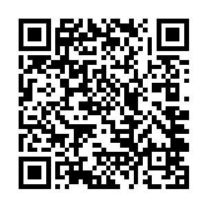 或许他们是为了这天府即将出世的那个天皇而来……二维码生成