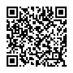 或许他们的实力能与洞玄七重天的真传弟子一战二维码生成