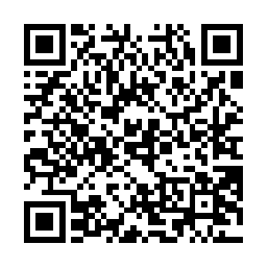 或许他会一直以为这就是自己为什么要护着主人的理由二维码生成