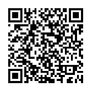 或许会得到少年主子的垂青而有个衣食无忧的下半生二维码生成