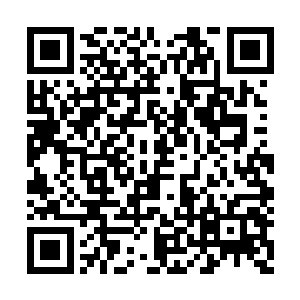 或许你能够获得这神兽老祖宗的一些秘密和传承二维码生成