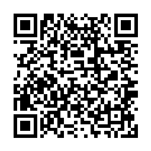 或许再制造出一个新的魔鬼之王并不是最好的结局二维码生成