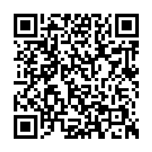 或许到现在他还无法接受队伍里出了内奸的事实二维码生成