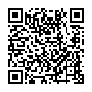 或许只是因为手上触摸蛟龙龙首而瞬间诞生了心魔二维码生成