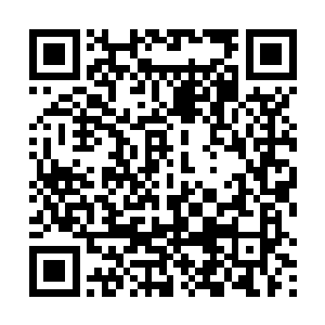 或许只有大灾变之前人类的几次工业革命才能与之比较二维码生成
