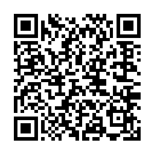 或许可以让我掌握更多天界的秘密和修罗的修炼的方法二维码生成