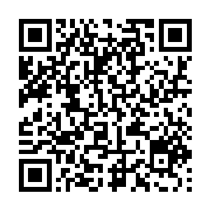 或许可能在10天内把我刚才说的事都大略地过一遍二维码生成