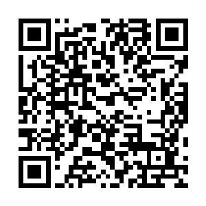 或许叶天机现在依旧是一个逍遥自在的九重天顶峰的高手二维码生成
