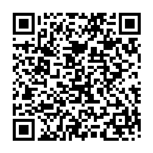 或许因该说是他自己以无上剑道的剑气附着在白尽的剑痕上给自己留下的二维码生成