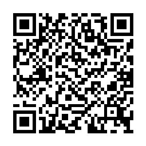 或许在刚刚的一同逃跑以及费德勒不断的唠叨中二维码生成