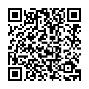 或许在普通人眼里华兴社是无法触及并且不敢招惹的存在二维码生成