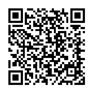 或许在此之前你们已经知道了本次计划的一些内容二维码生成