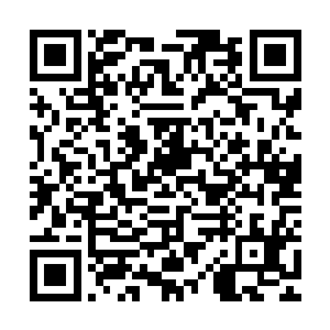 或许在这一刻已经能理解夭华当年为什么会喜欢上他与嫁给他了二维码生成