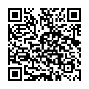 或许她是抱着以赤子之心来为民办事的宗旨来做的呢二维码生成