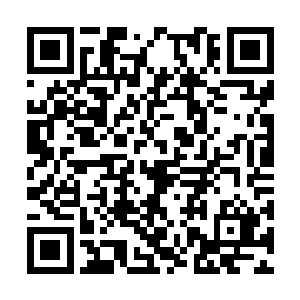 或许就是他不得不求爷爷告奶奶委曲求全的原因吧二维码生成