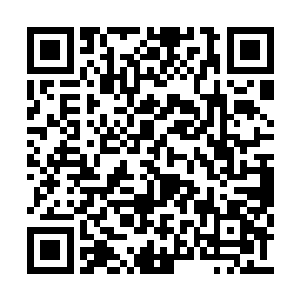 或许就是因为君无极这样无条件的宠溺着季疏云二维码生成