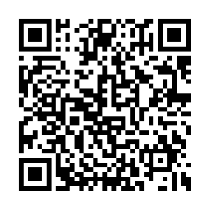 或许就能在里面找到正确突破秘境第九重的方法二维码生成