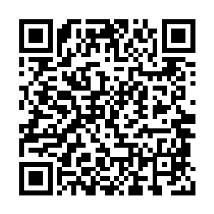 或许我可以从中得到一引起有用的信息也说不定二维码生成