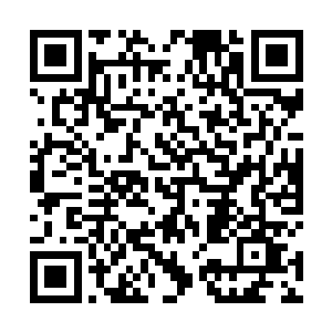 或许才能彻底搞清楚荒天塔和寂灭老祖这一系列的事情二维码生成