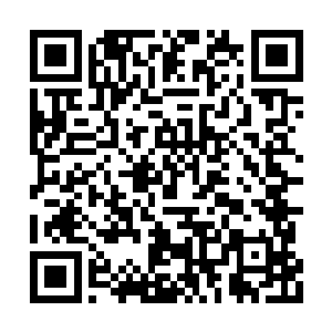 或许是人世界主宰不允许十殿的殿主亲临人世界二维码生成