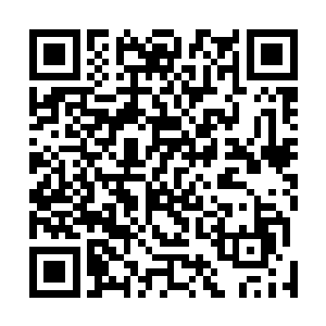 或许是他们长期在自己的上司面前不把自己当人看的原因二维码生成