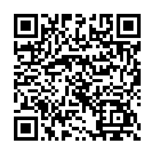 或许是因为一时嘴快而损失了5000亿标准晶核而有些不爽二维码生成